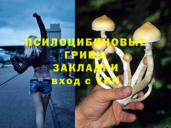 метадон Абаза