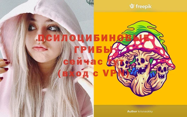 круглые Алзамай